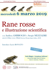 Rane rosse e illustrazione naturalistica